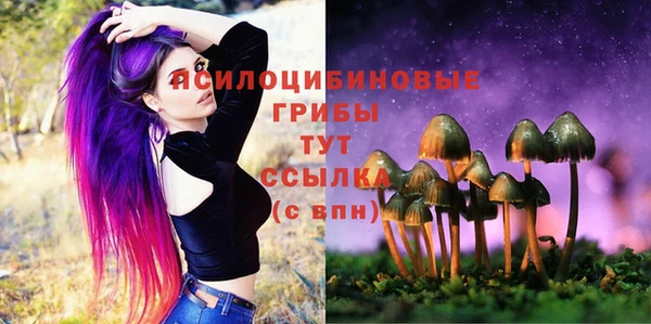mdma Няндома