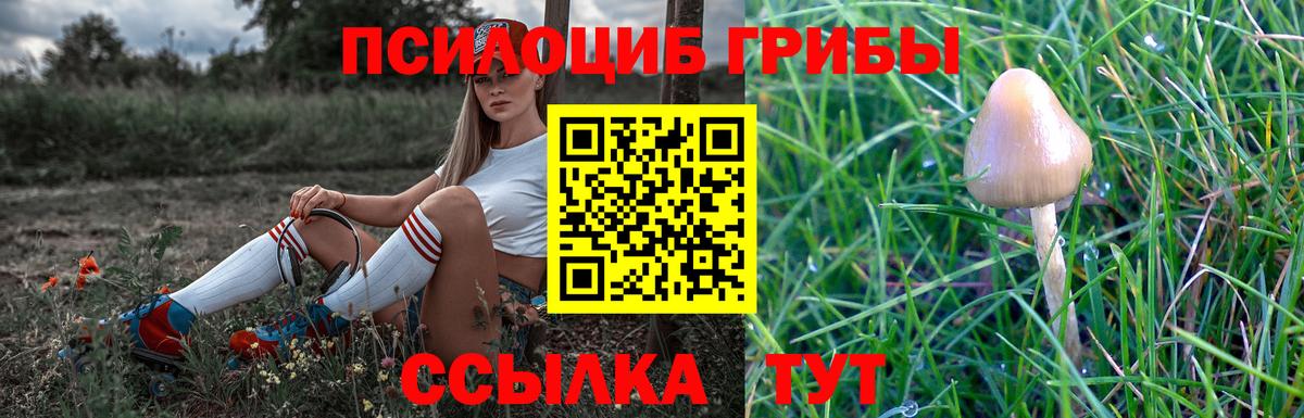 Гурьевск  Псилоцибиновые грибы ЛСД  Вход с VPN  Галлюциногенные грибы прущие грибы 