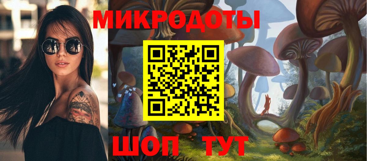 Псилоцибиновые грибы прущие грибы Гурьевск